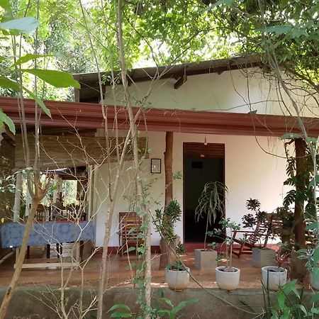 Thilina Homestay Sigiriya Cameră foto